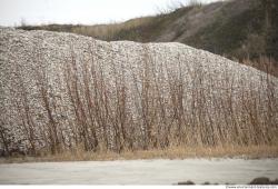 Photo of Mixed Textures